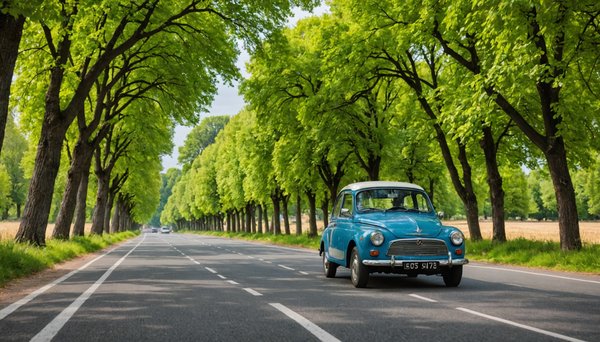 Destinations incontournables pour un road trip mémorable en France