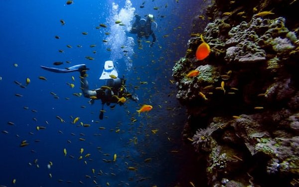 Découvrez les Trésors Sous-Marins avec le Club de Plongée de Hyères
